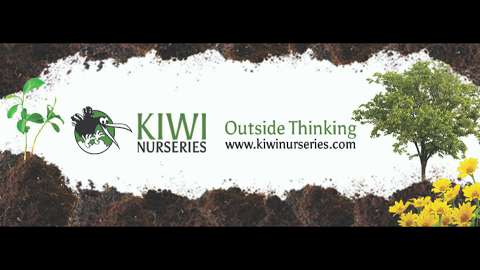 Kiwi Nurseries Ltd